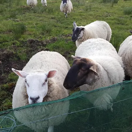 Panzió An Charraig Ban On The Wild Atlantic Way F94wt02 3*