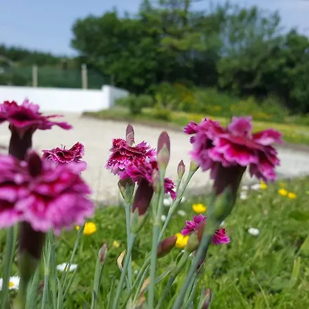 An Charraig Ban On The Wild Atlantic Way F94wt02 Panzió Ardara