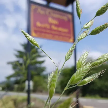 Bed & Breakfast An Charraig Ban On The Wild Atlantic Way F94wt02 3*