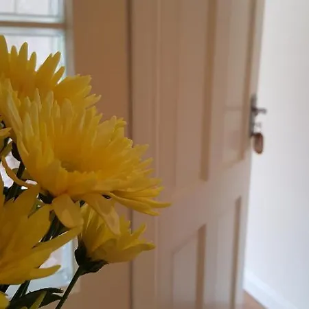 Bed & Breakfast An Charraig Ban On The Wild Atlantic Way F94wt02