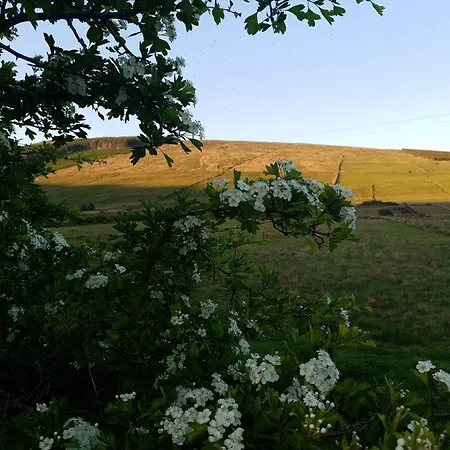Bed & Breakfast An Charraig Ban On The Wild Atlantic Way F94wt02 3*