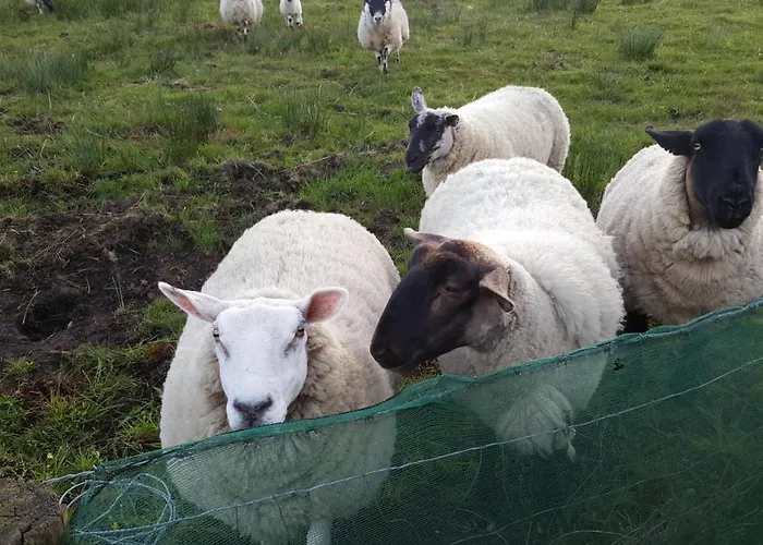 B&B An Charraig Ban On The Wild Atlantic Way F94wt02 3*