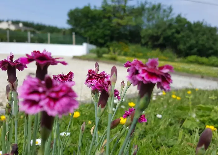 An Charraig Ban On The Wild Atlantic Way F94wt02 B&B 아르다라