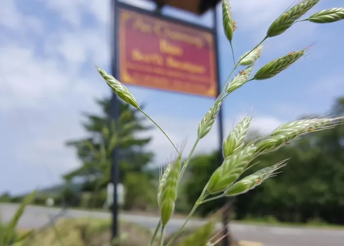 B&B An Charraig Ban On The Wild Atlantic Way F94wt02 3*