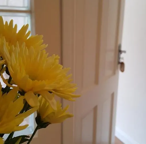 B&B An Charraig Ban On The Wild Atlantic Way F94wt02