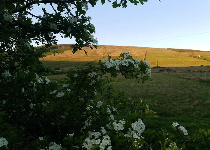 B&B An Charraig Ban On The Wild Atlantic Way F94wt02 3*
